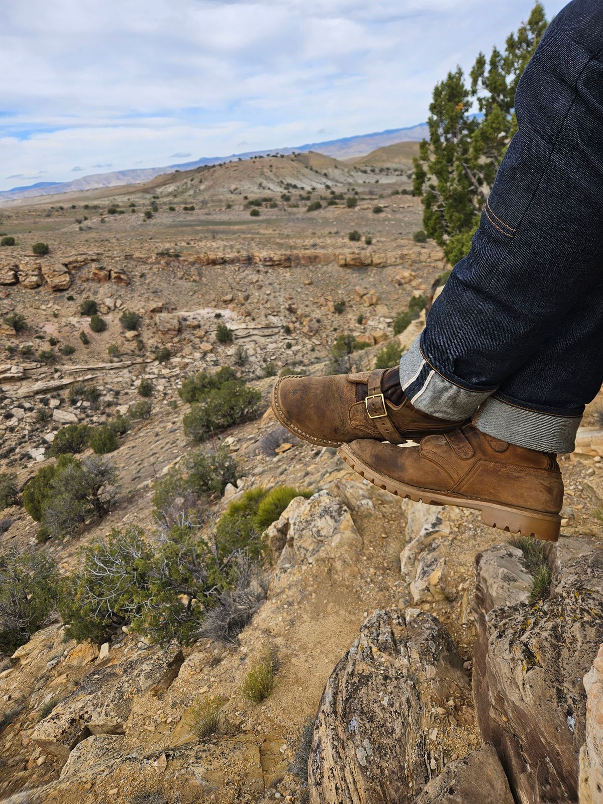 Photo by Theakkid on October 25, 2025 of the Nicks Nicks / Tactical Tankerpro in Seidel WeatherShield Brown.