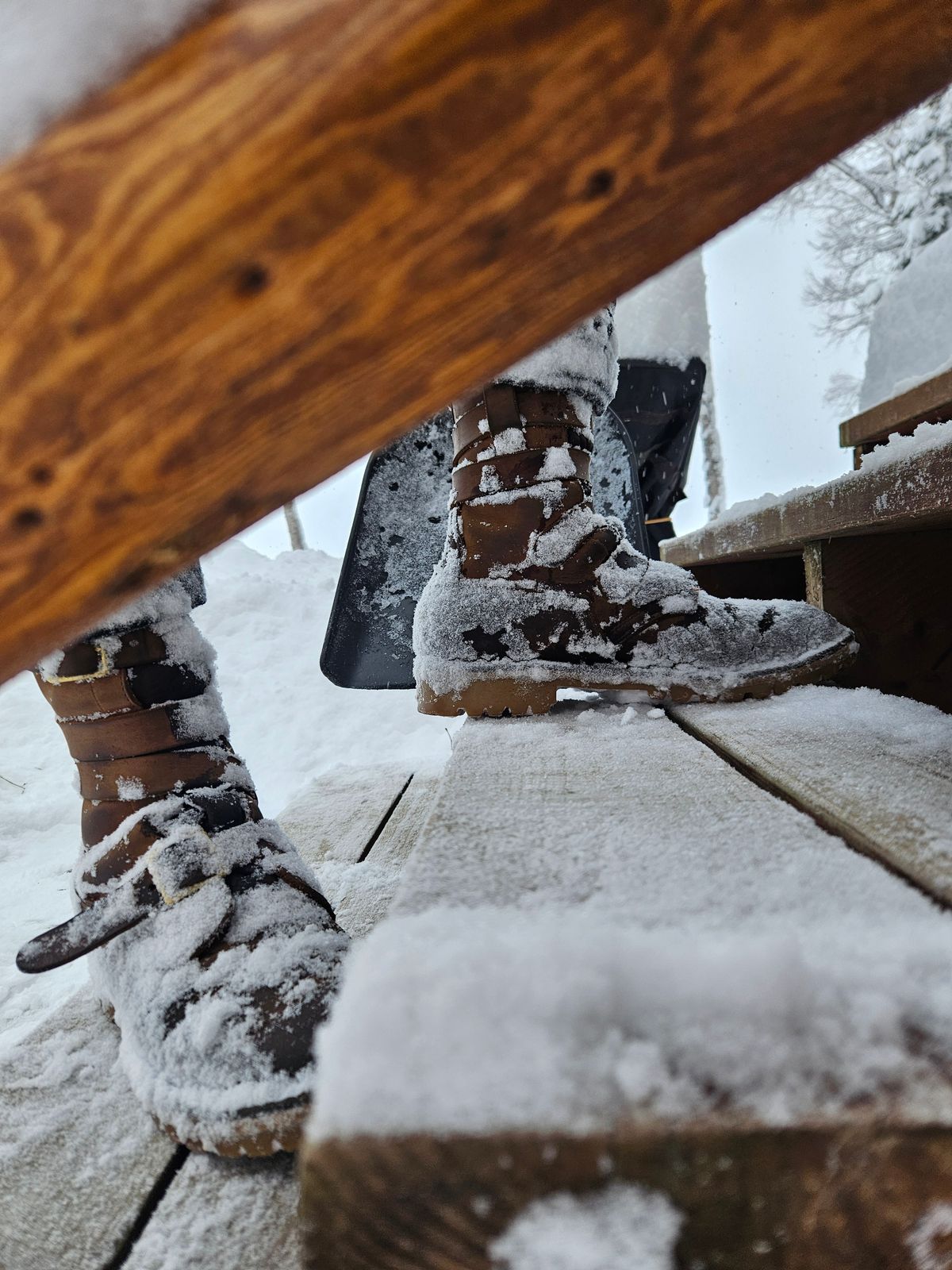 Photo by Theakkid on January 6, 2026 of the Nicks Nicks / Tactical Tankerpro in Seidel WeatherShield Brown.