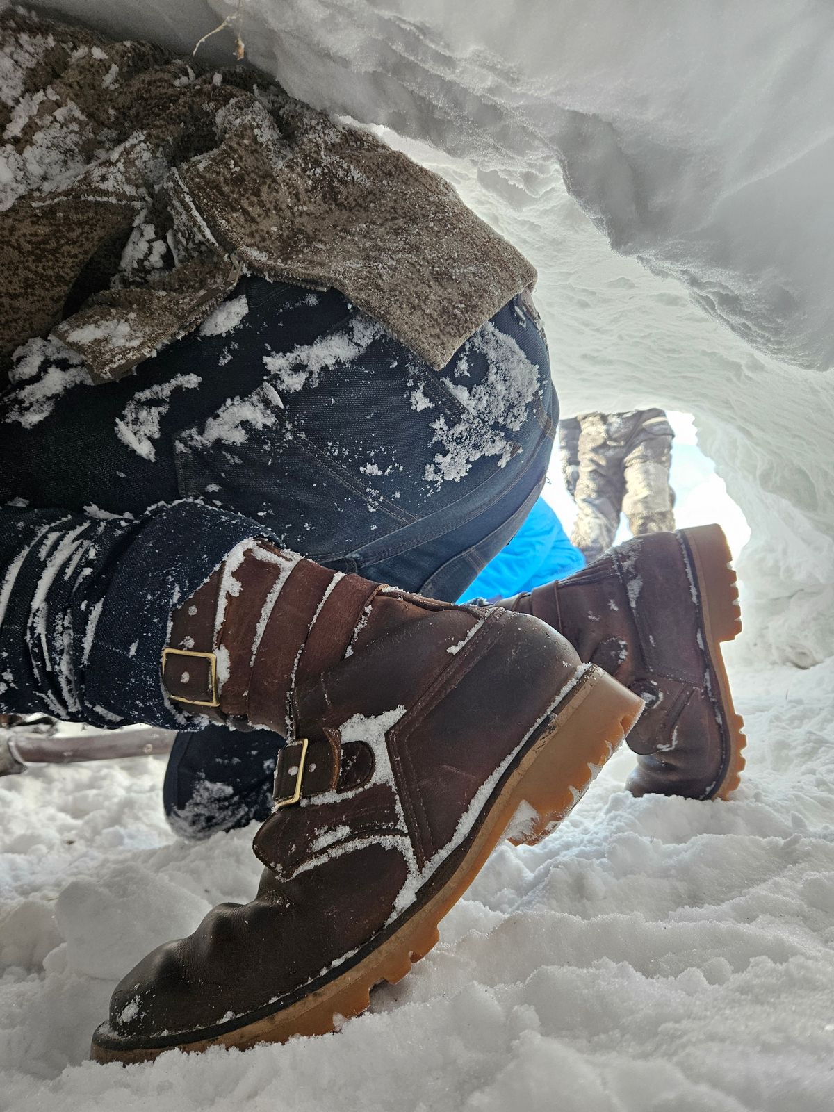 Photo by Theakkid on February 17, 2026 of the Nicks Nicks / Tactical Tankerpro in Seidel WeatherShield Brown.