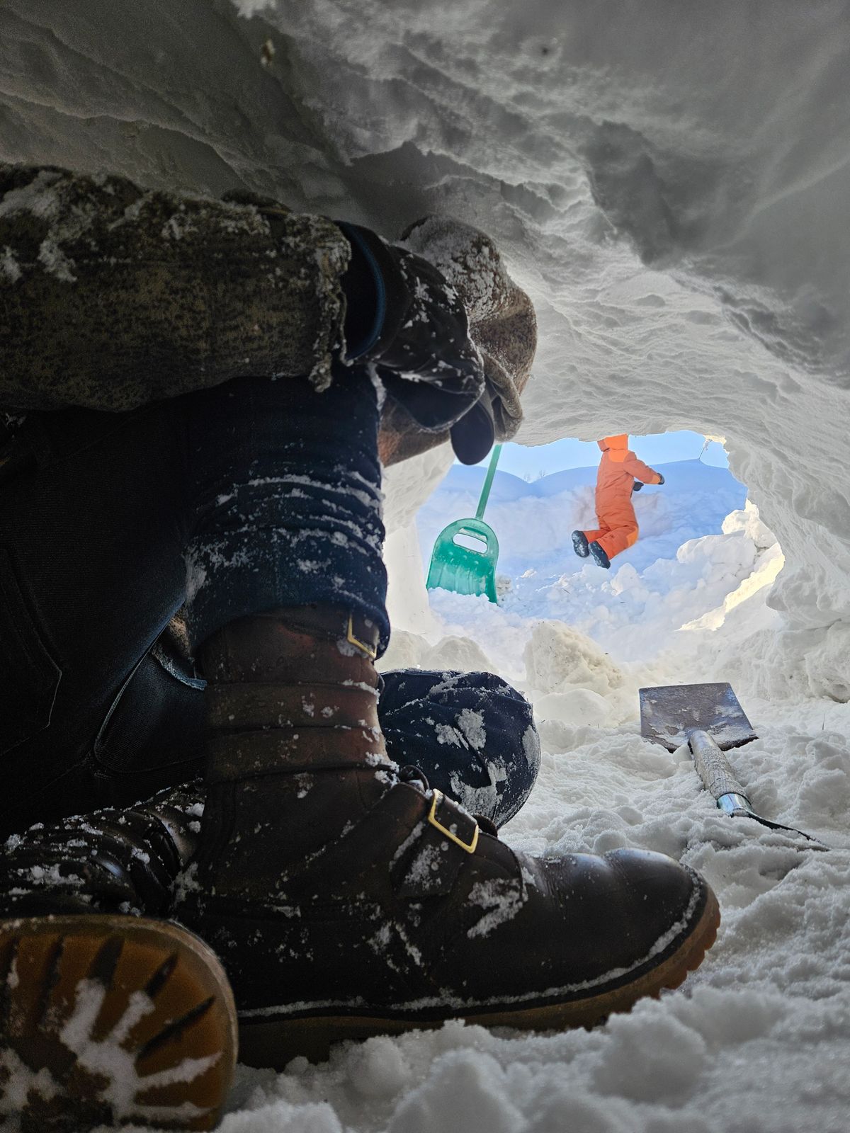 Photo by Theakkid on February 17, 2026 of the Nicks Nicks / Tactical Tankerpro in Seidel WeatherShield Brown.