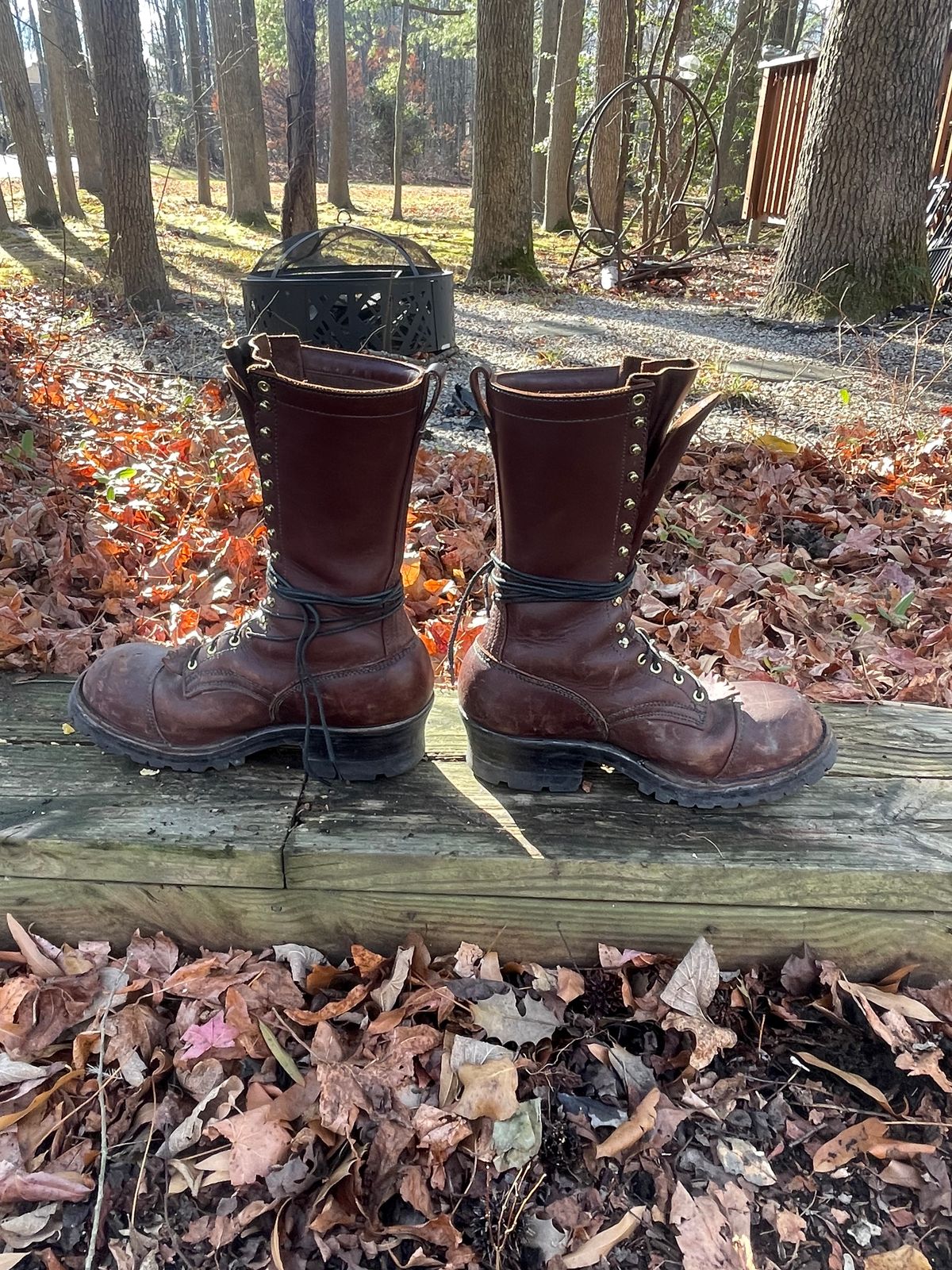 Photo by kweso on December 5, 2024 of the Frank's Boots Type 1 Commander in Seidel Chocolate Oil Tan.