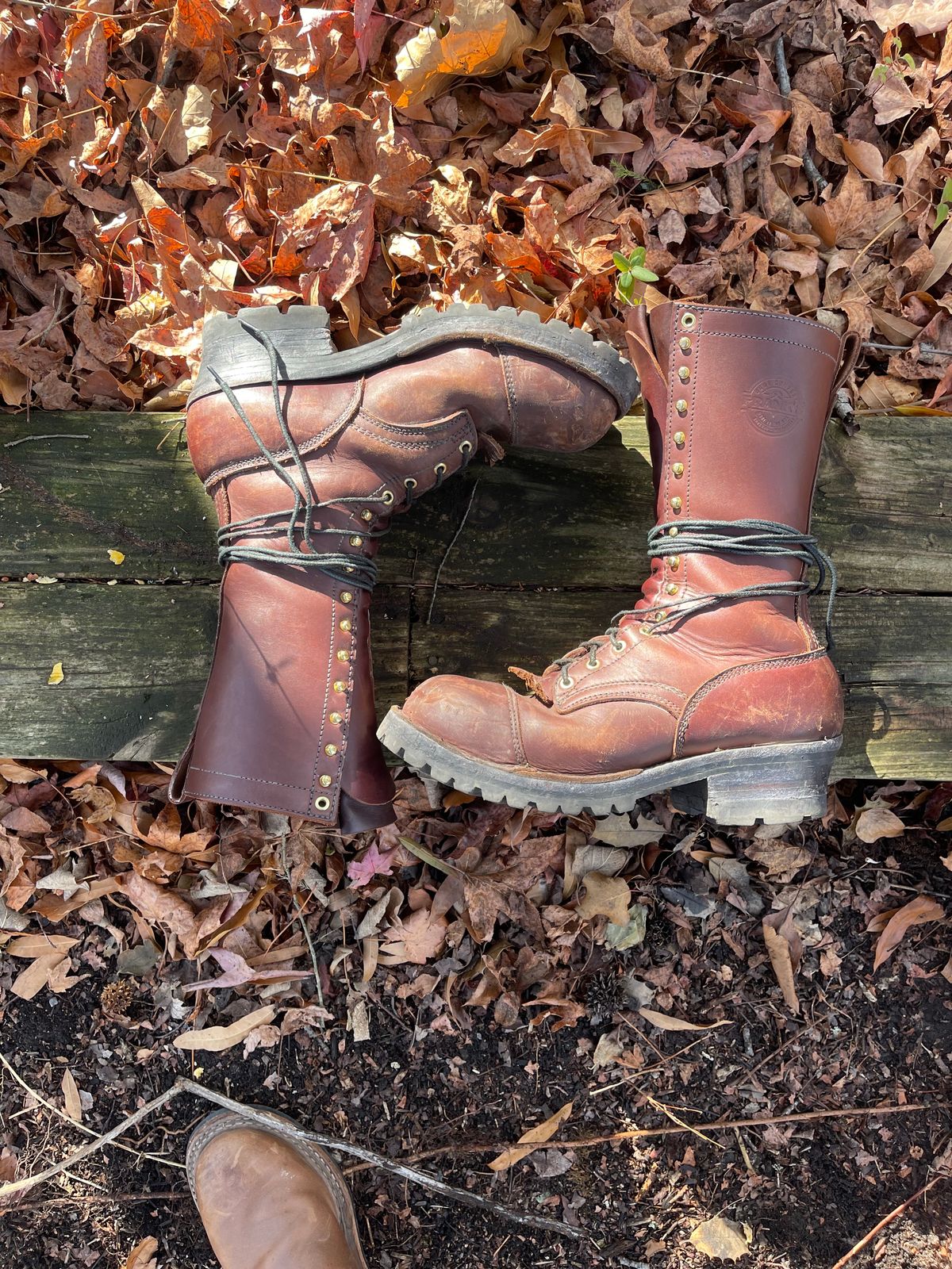 Photo by kweso on December 5, 2024 of the Frank's Boots Type 1 Commander in Seidel Chocolate Oil Tan.