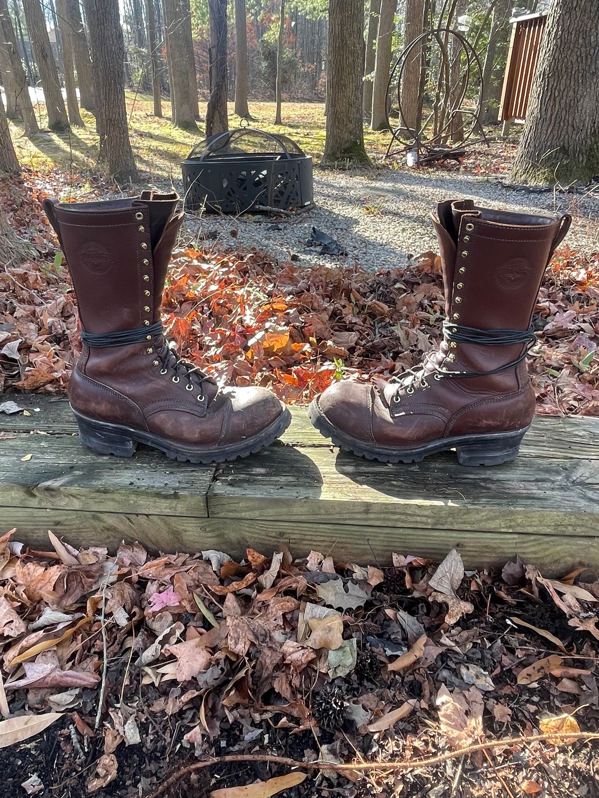 Photo by kweso on December 5, 2024 of the Frank's Boots Type 1 Commander in Seidel Chocolate Oil Tan.