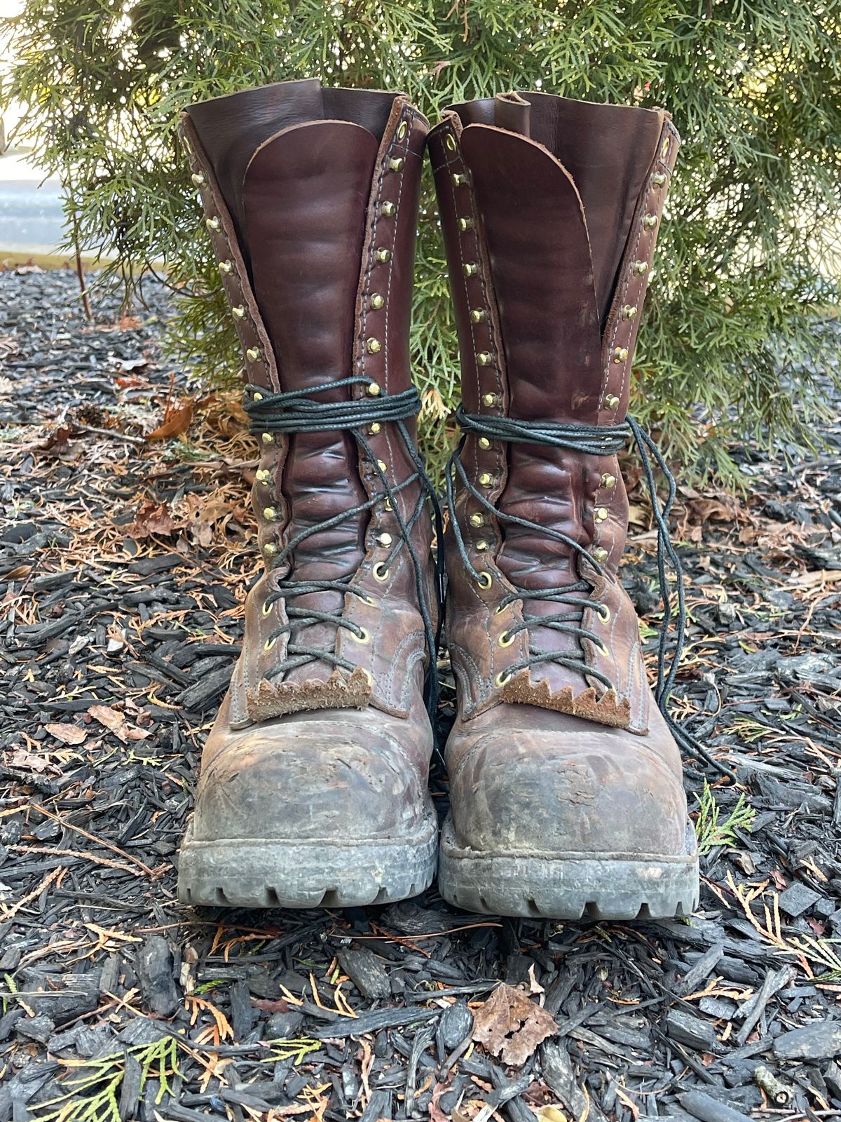 Photo by kweso on January 5, 2025 of the Frank's Boots Type 1 Commander in Seidel Chocolate Oil Tan.