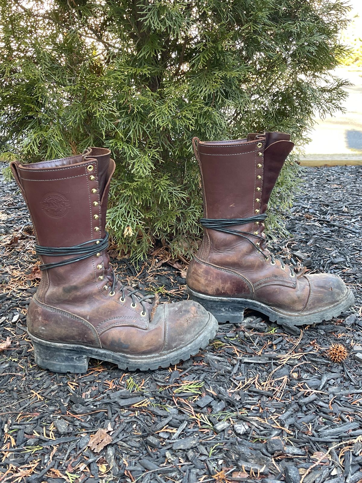 Photo by kweso on January 5, 2025 of the Frank's Boots Type 1 Commander in Seidel Chocolate Oil Tan.