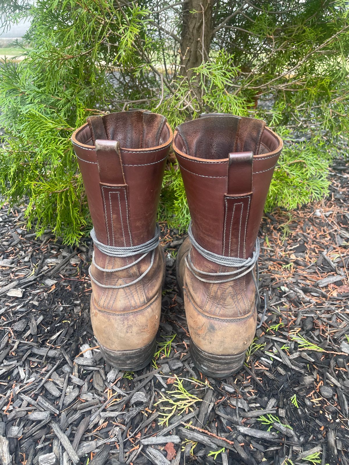 Photo by kweso on April 3, 2025 of the Frank's Boots Type 1 Commander in Seidel Chocolate Oil Tan.