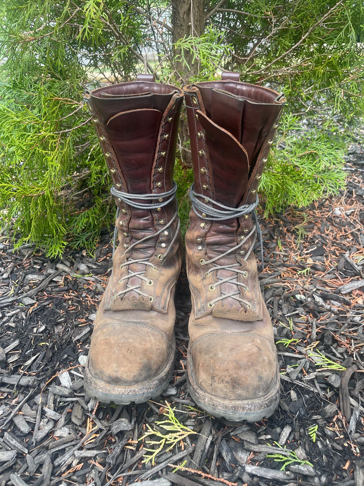 Photo by kweso on April 3, 2025 of the Frank's Boots Type 1 Commander in Seidel Chocolate Oil Tan.