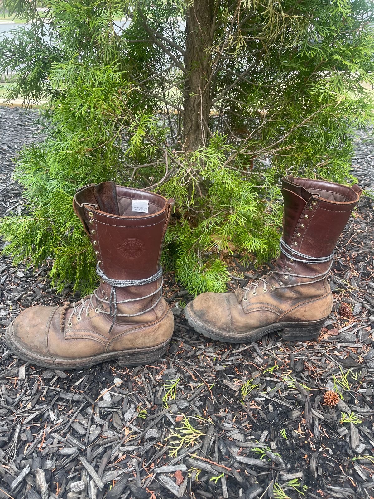 Photo by kweso on April 3, 2025 of the Frank's Boots Type 1 Commander in Seidel Chocolate Oil Tan.