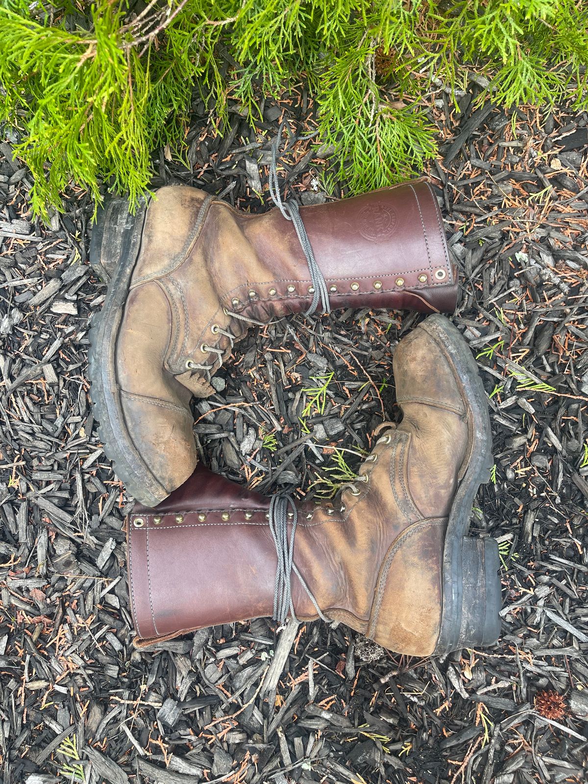 Photo by kweso on April 3, 2025 of the Frank's Boots Type 1 Commander in Seidel Chocolate Oil Tan.