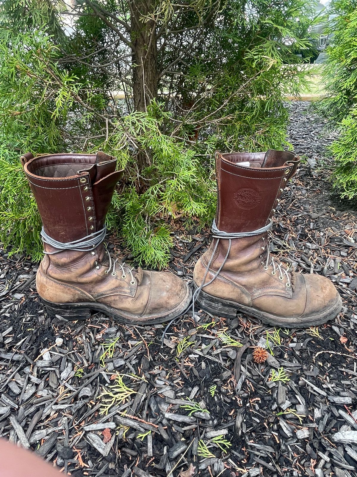 Photo by kweso on April 3, 2025 of the Frank's Boots Type 1 Commander in Seidel Chocolate Oil Tan.