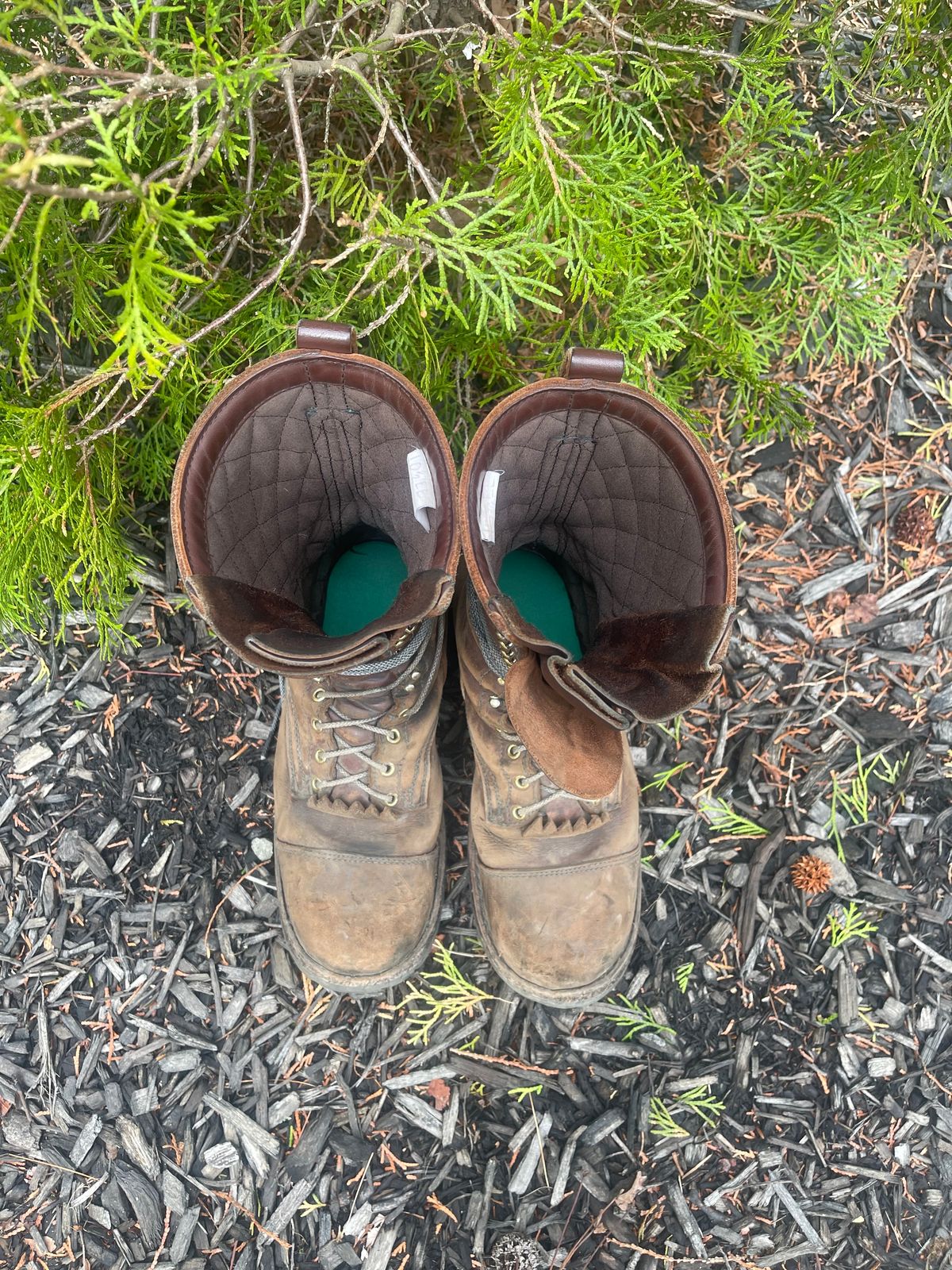Photo by kweso on April 3, 2025 of the Frank's Boots Type 1 Commander in Seidel Chocolate Oil Tan.