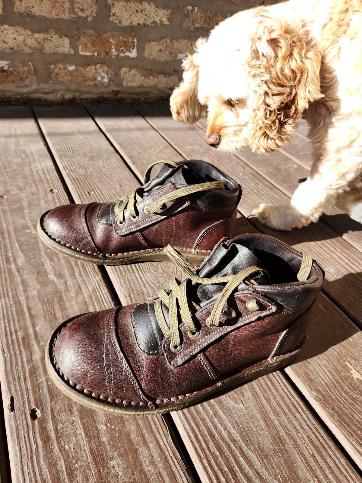 Photo by rollschoice on May 3, 2025 of the Jim Green African Ranger in African Buffalo Skin.