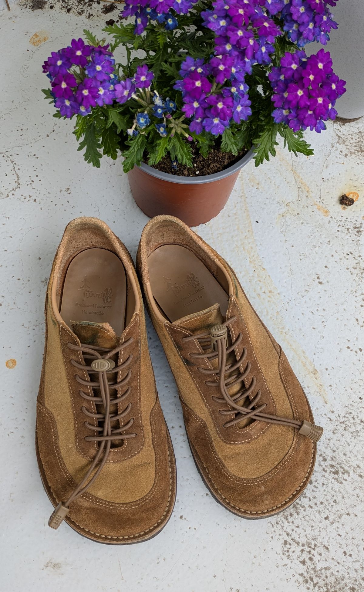 Photo by tumi on May 4, 2025 of the Turriff Functional Footwear C-02 in C.F. Stead Brown Repello Calf Suede.