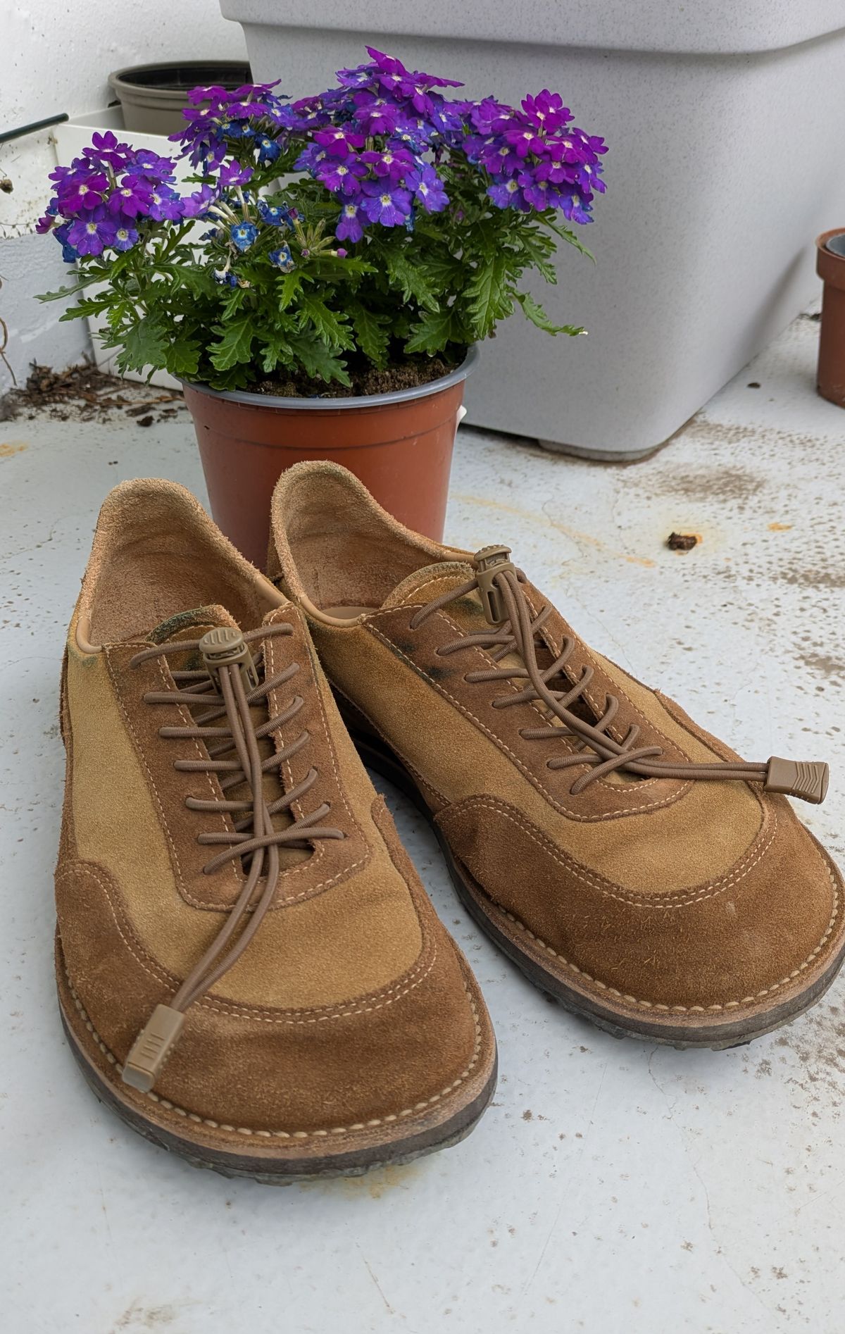 Photo by tumi on May 4, 2025 of the Turriff Functional Footwear C-02 in C.F. Stead Brown Repello Calf Suede.