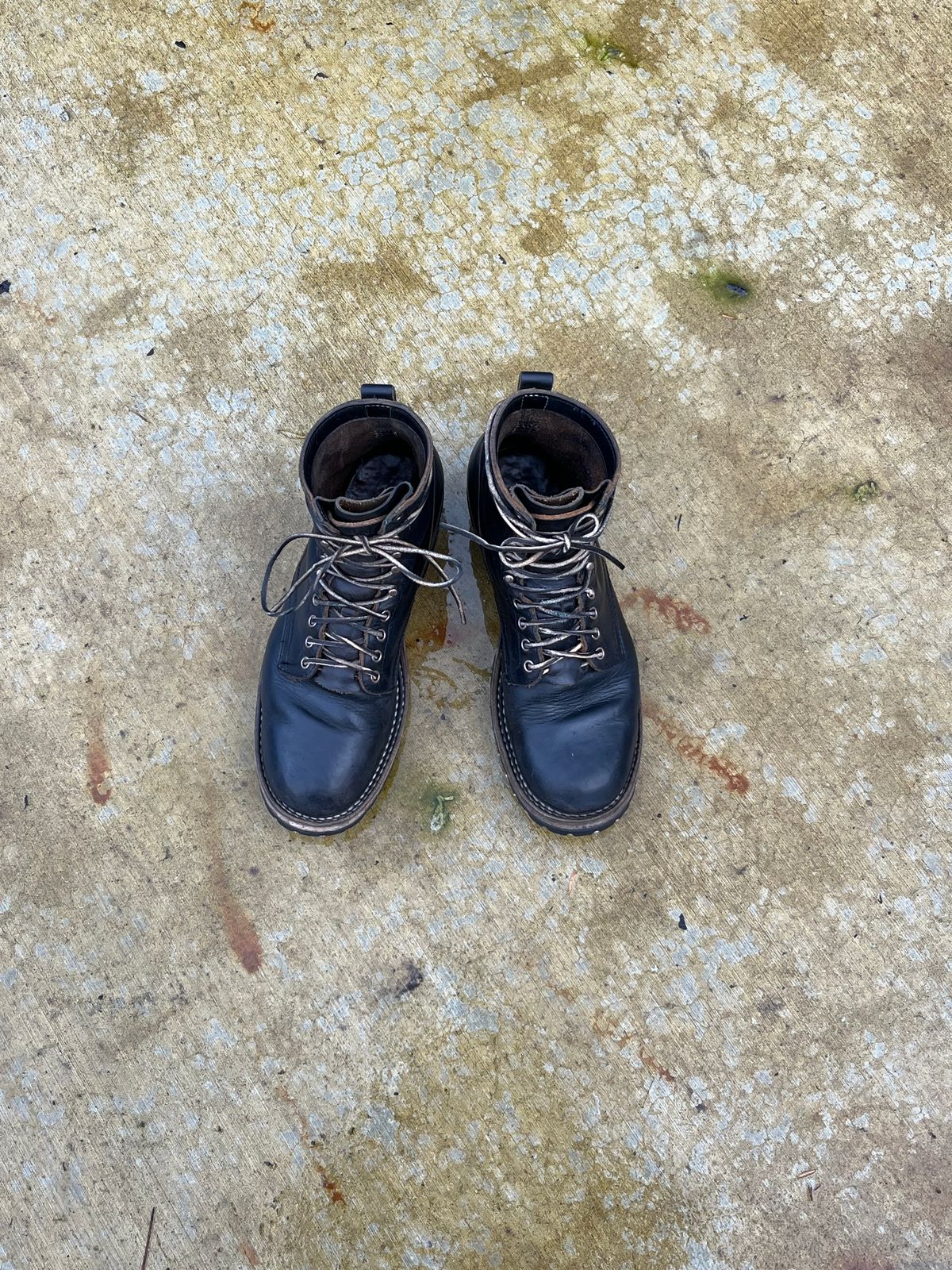 Photo by maxmerkle.official on January 3, 2026 of the White's C355 Logger in Seidel Black Double Shot.