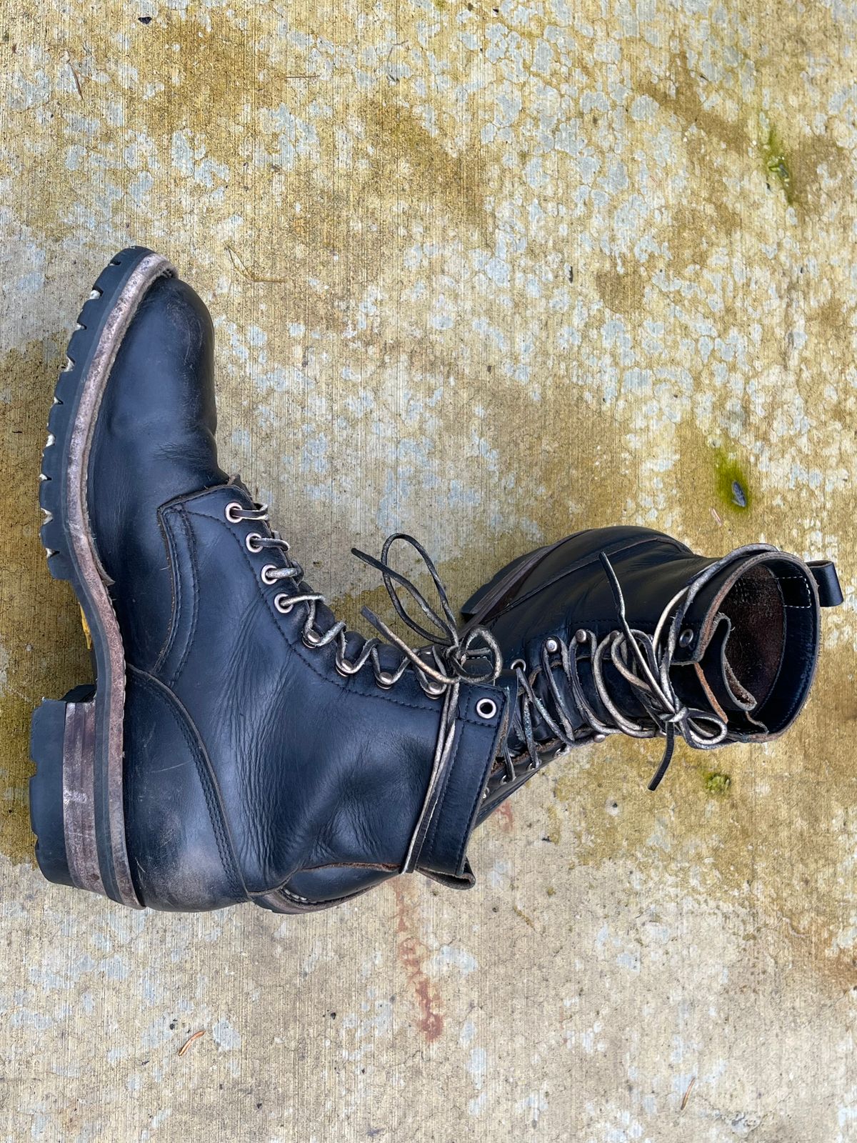 Photo by maxmerkle.official on January 3, 2026 of the White's C355 Logger in Seidel Black Double Shot.