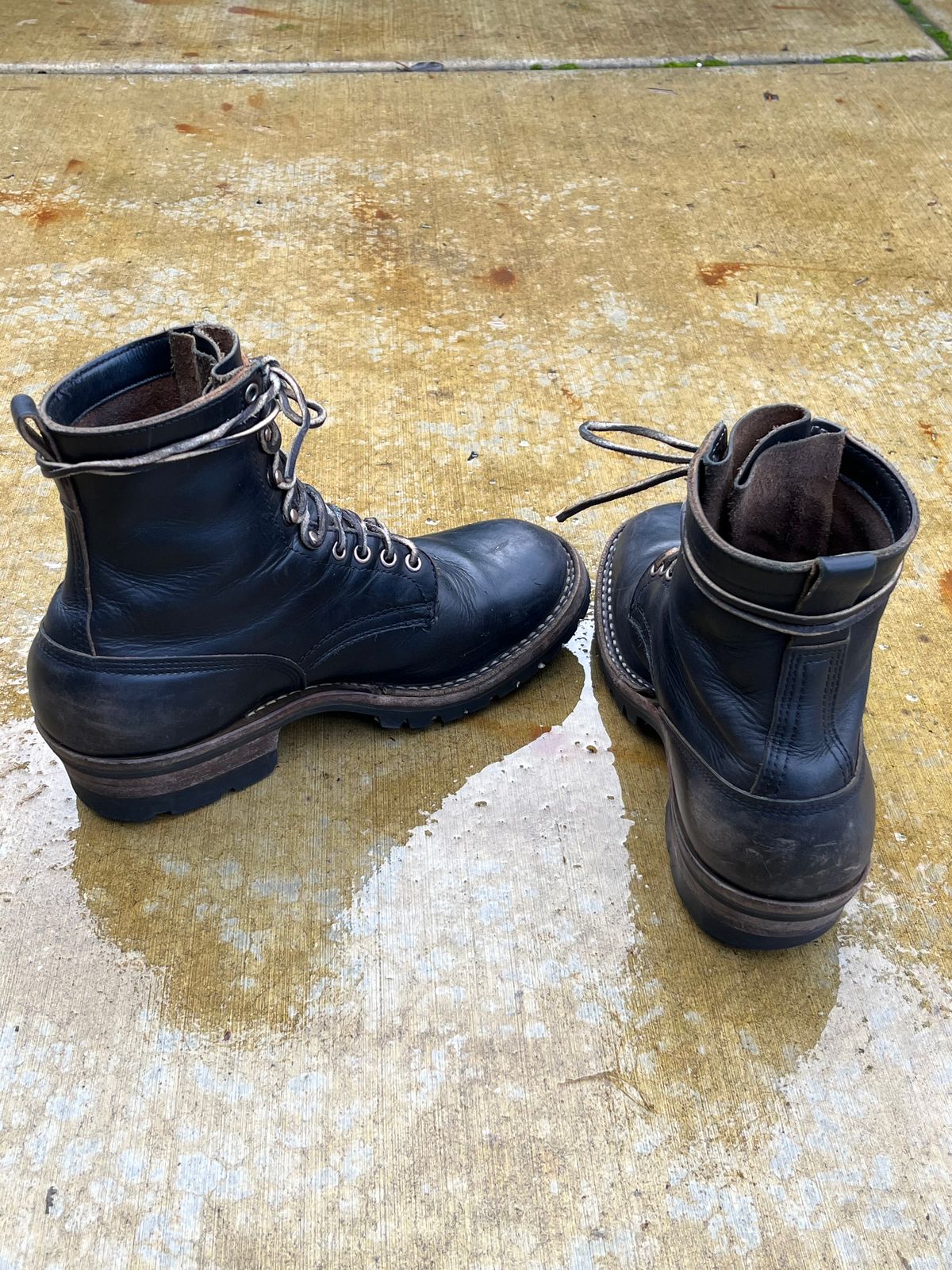 Photo by maxmerkle.official on January 3, 2026 of the White's C355 Logger in Seidel Black Double Shot.