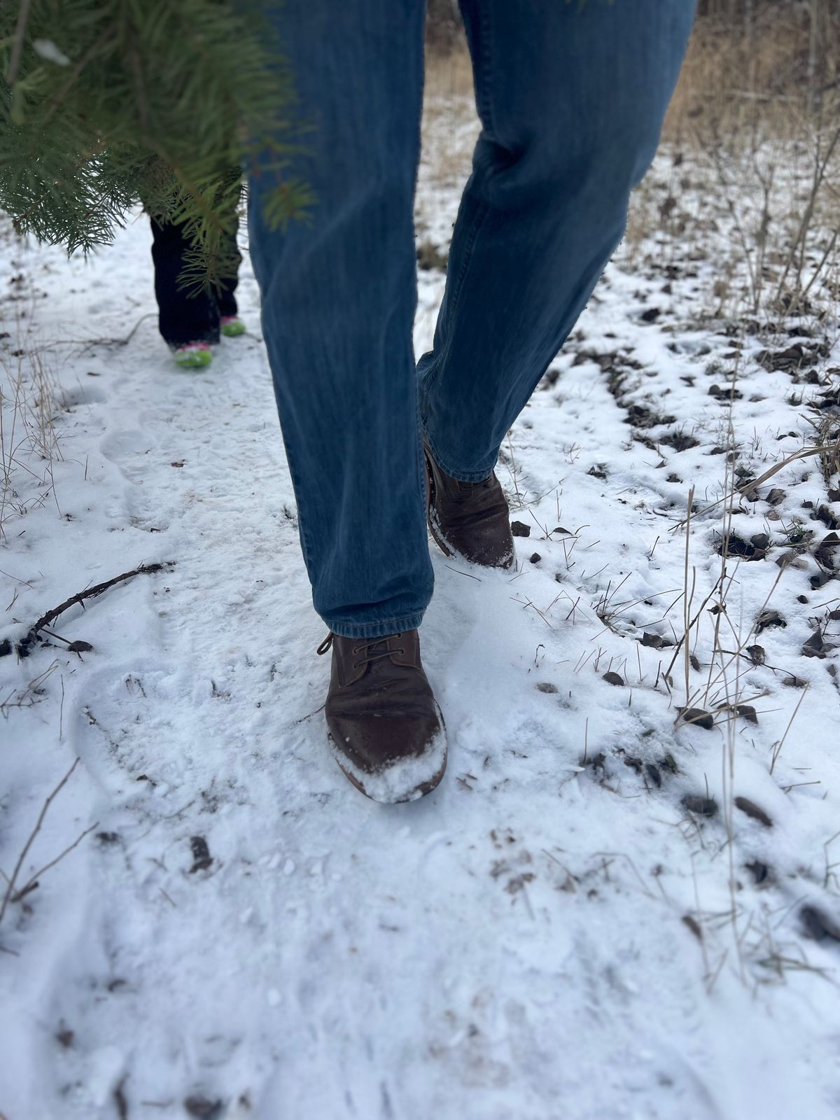 Photo by cereus0843 on December 1, 2025 of the Parkhurst The Allen in Italpel Caramel Teacore Veg Tan.