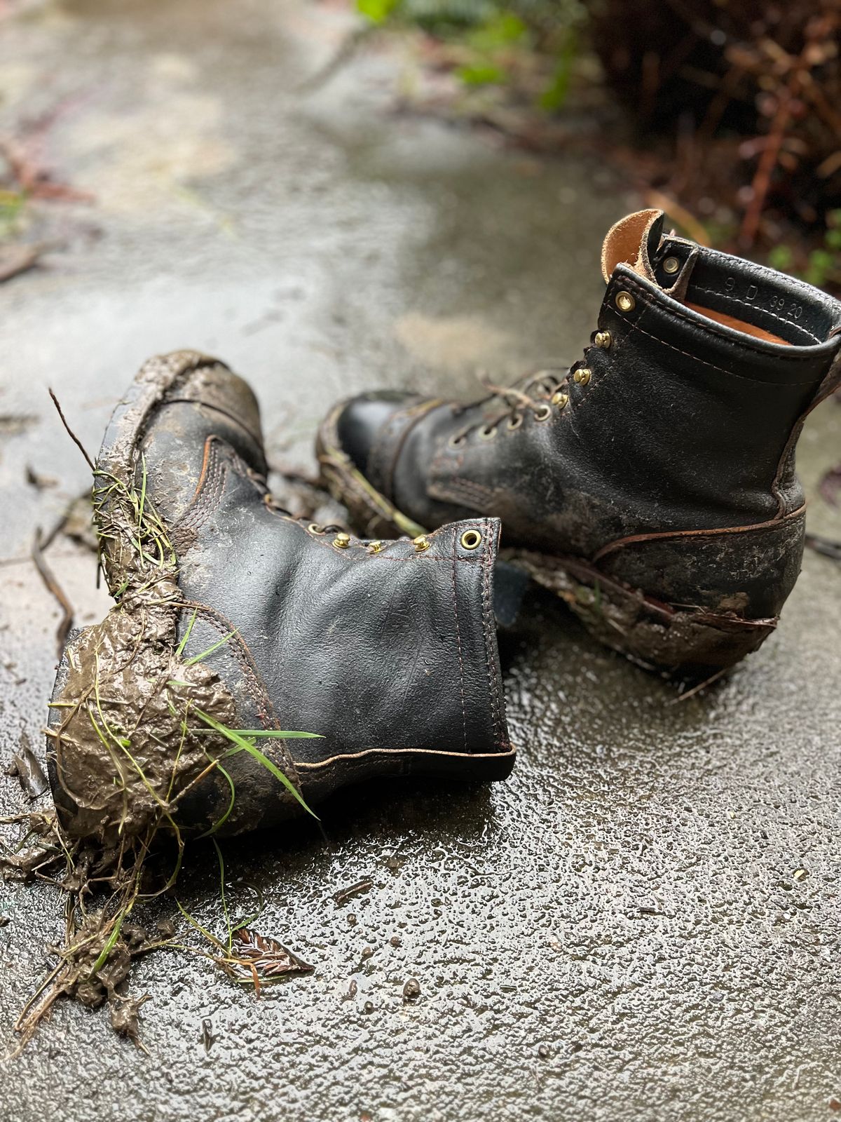 Photo by loralrose on February 3, 2025 of the Wesco Warren Boot in Horween Navy Waxed Flesh.