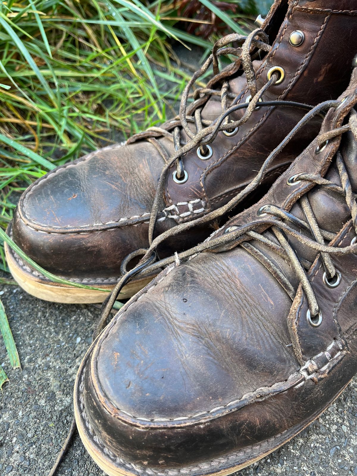 Photo by loralrose on October 27, 2024 of the Danner Bull Run Moc Toe in Brown Full Grain.