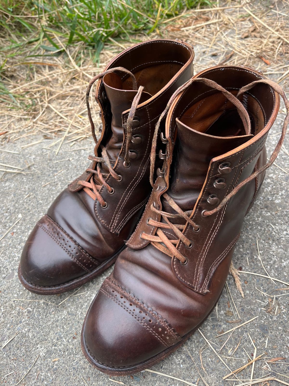 Photo by loralrose on August 11, 2024 of the Wolverine 1000 Mile Cap-Toe Boot in Horween Brown Shell Cordovan.