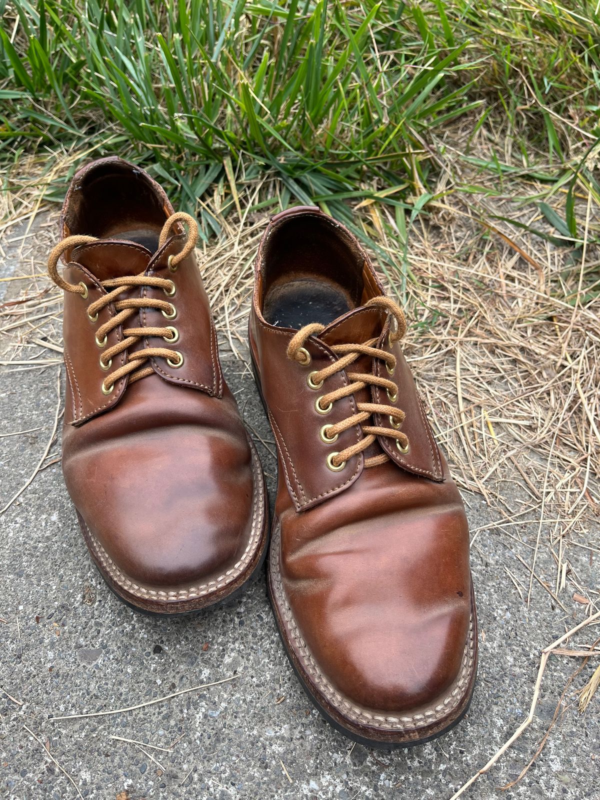 Photo by loralrose on August 11, 2024 of the Truman Derby in Horween Unglazed Natural Shell Cordovan.