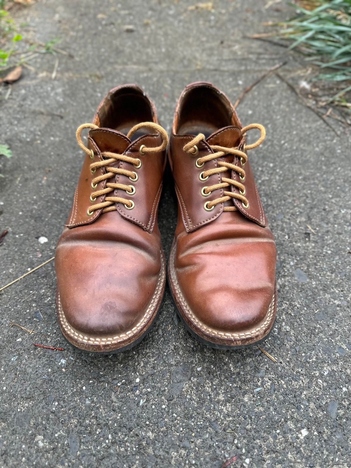 Photo by loralrose on October 9, 2024 of the Truman Derby in Horween Unglazed Natural Shell Cordovan.