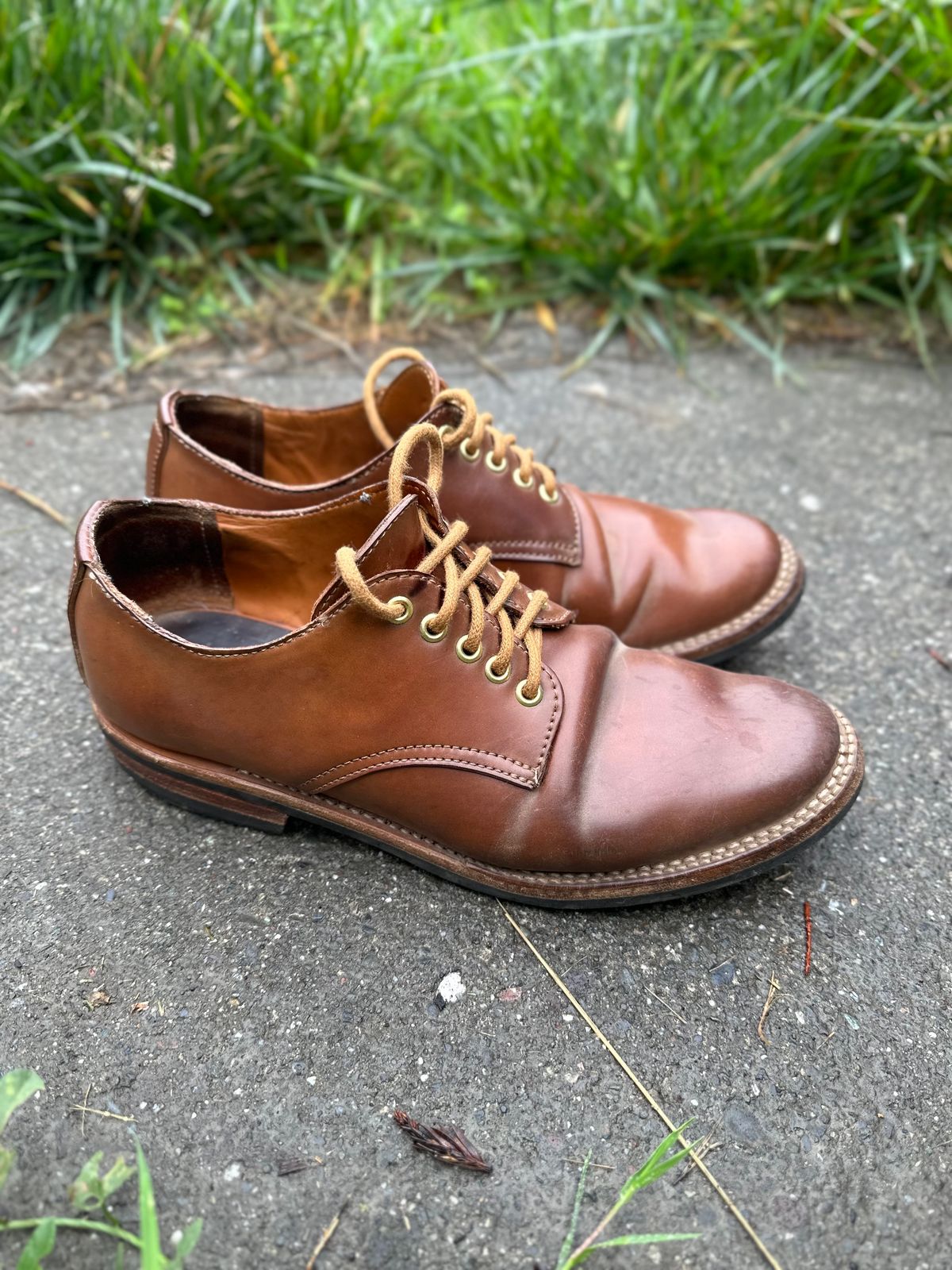 Photo by loralrose on October 9, 2024 of the Truman Derby in Horween Unglazed Natural Shell Cordovan.