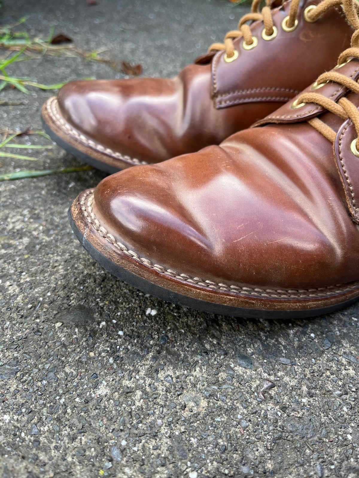 Photo by loralrose on October 27, 2024 of the Truman Derby in Horween Unglazed Natural Shell Cordovan.