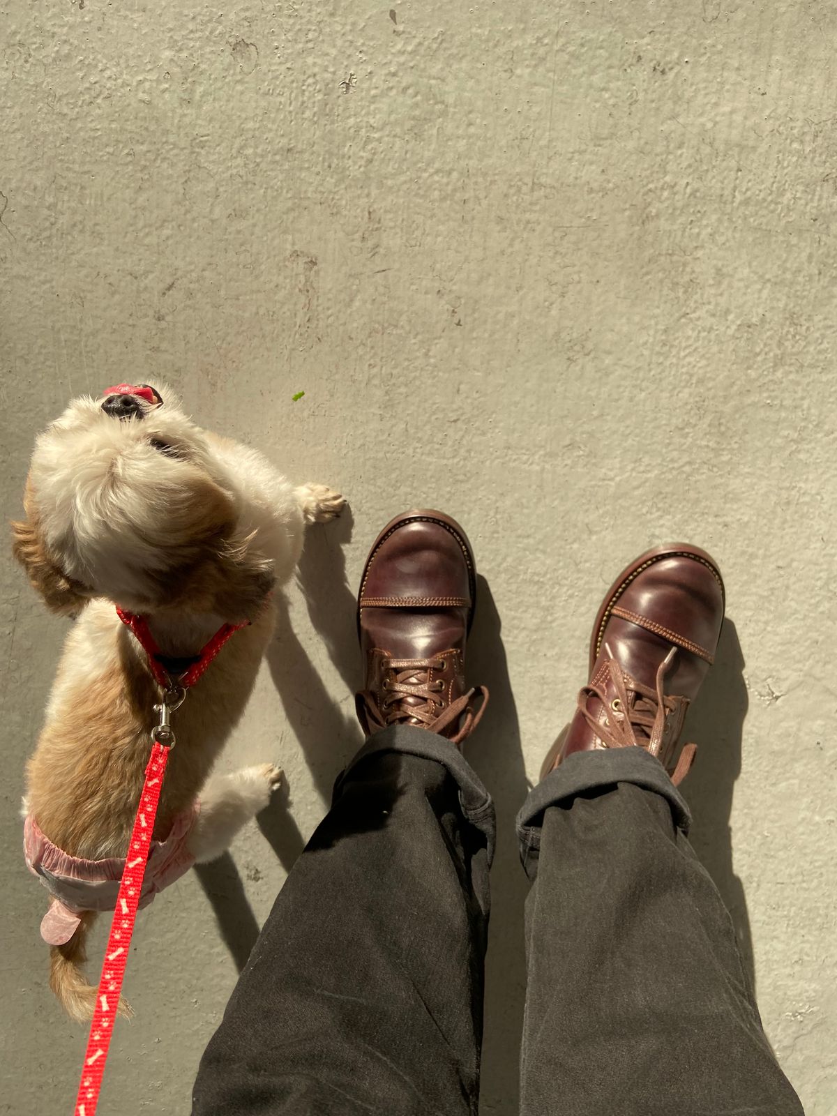 Photo by Boot.Stomp on May 9, 2026 of the Willie's Handmade Boots Cap Toe Service Boot in Maryam Olive Horserump Overdyed Dark Brown.