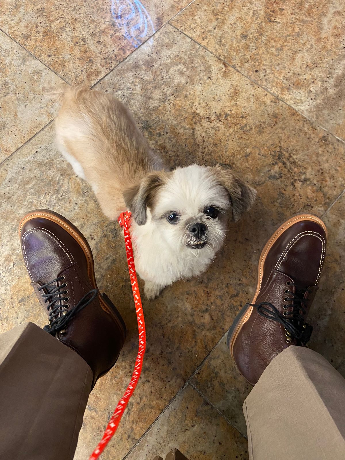 Photo by Boot.Stomp on July 5, 2026 of the Luosjiet Indiana Moctoe Boot in Dark Brown Lychee.