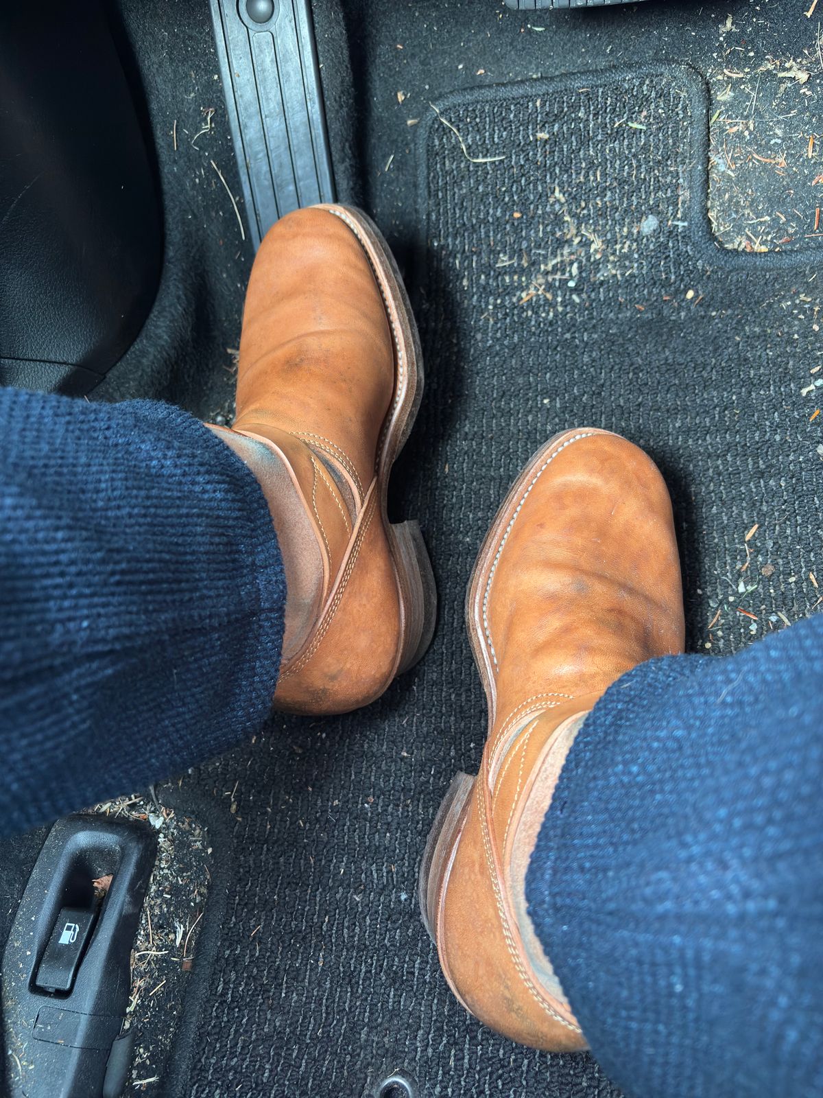 Photo by Bossa on October 8, 2025 of the Unsung House Desert Fever Dream in Maryam Natural Rovescio Sego Horsebutt.