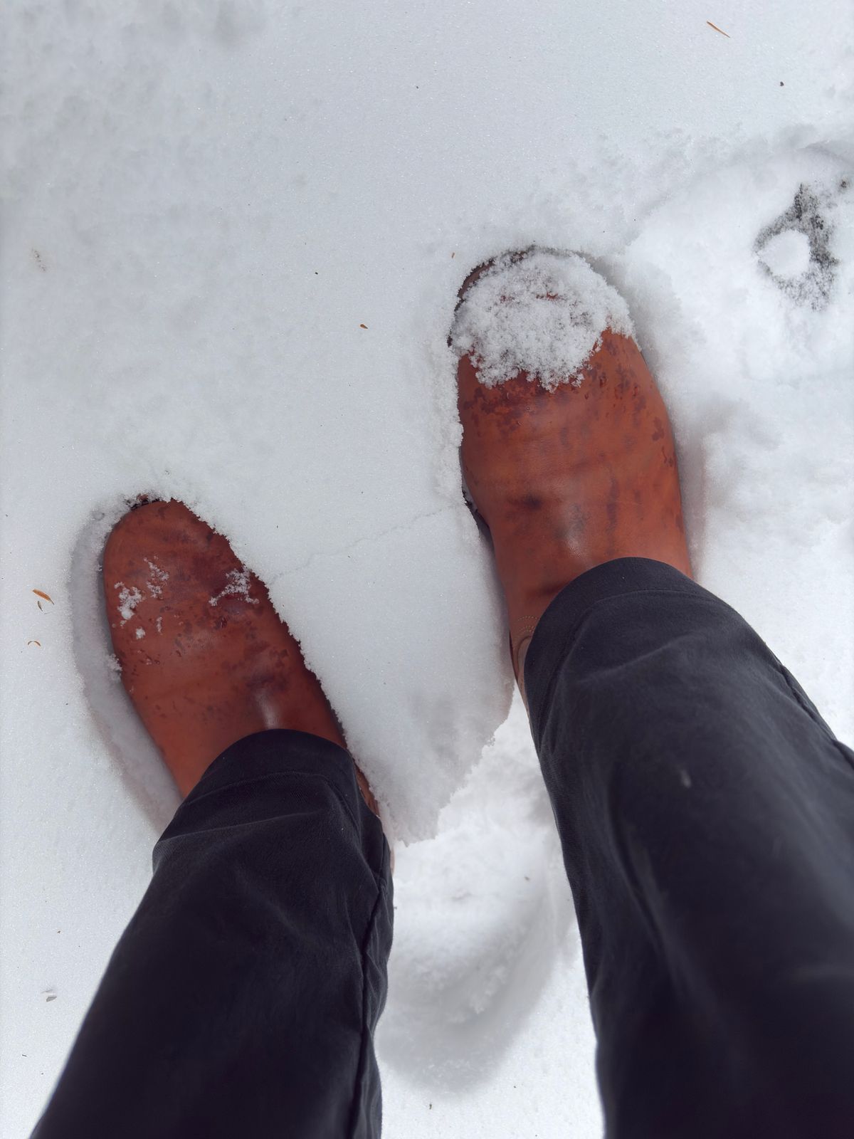 Photo by Bossa on December 7, 2025 of the Unsung House Desert Fever Dream in Maryam Natural Rovescio Sego Horsebutt.