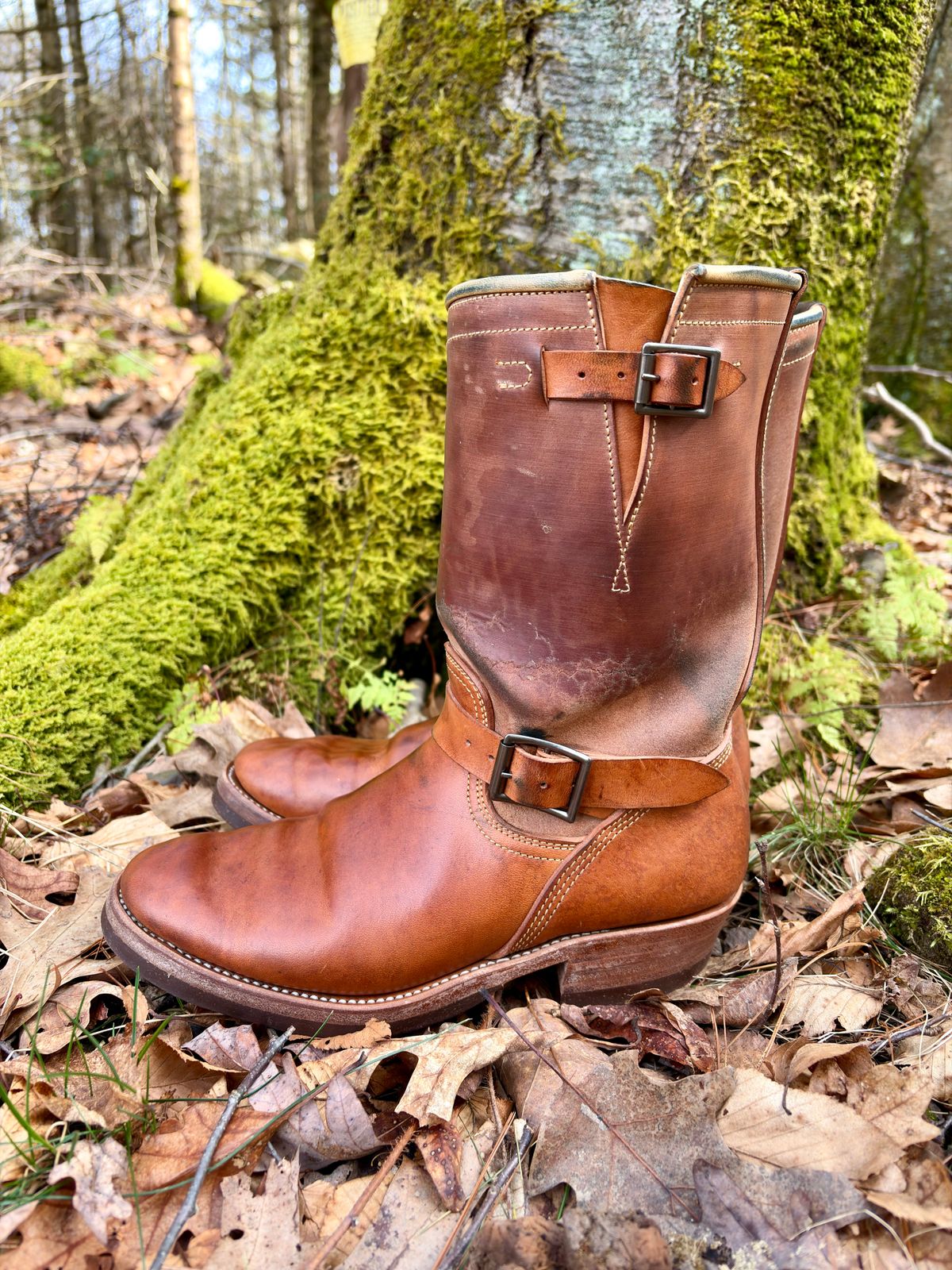 Photo by Bossa on April 3, 2026 of the Unsung House Desert Fever Dream in Maryam Natural Rovescio Sego Horsebutt.