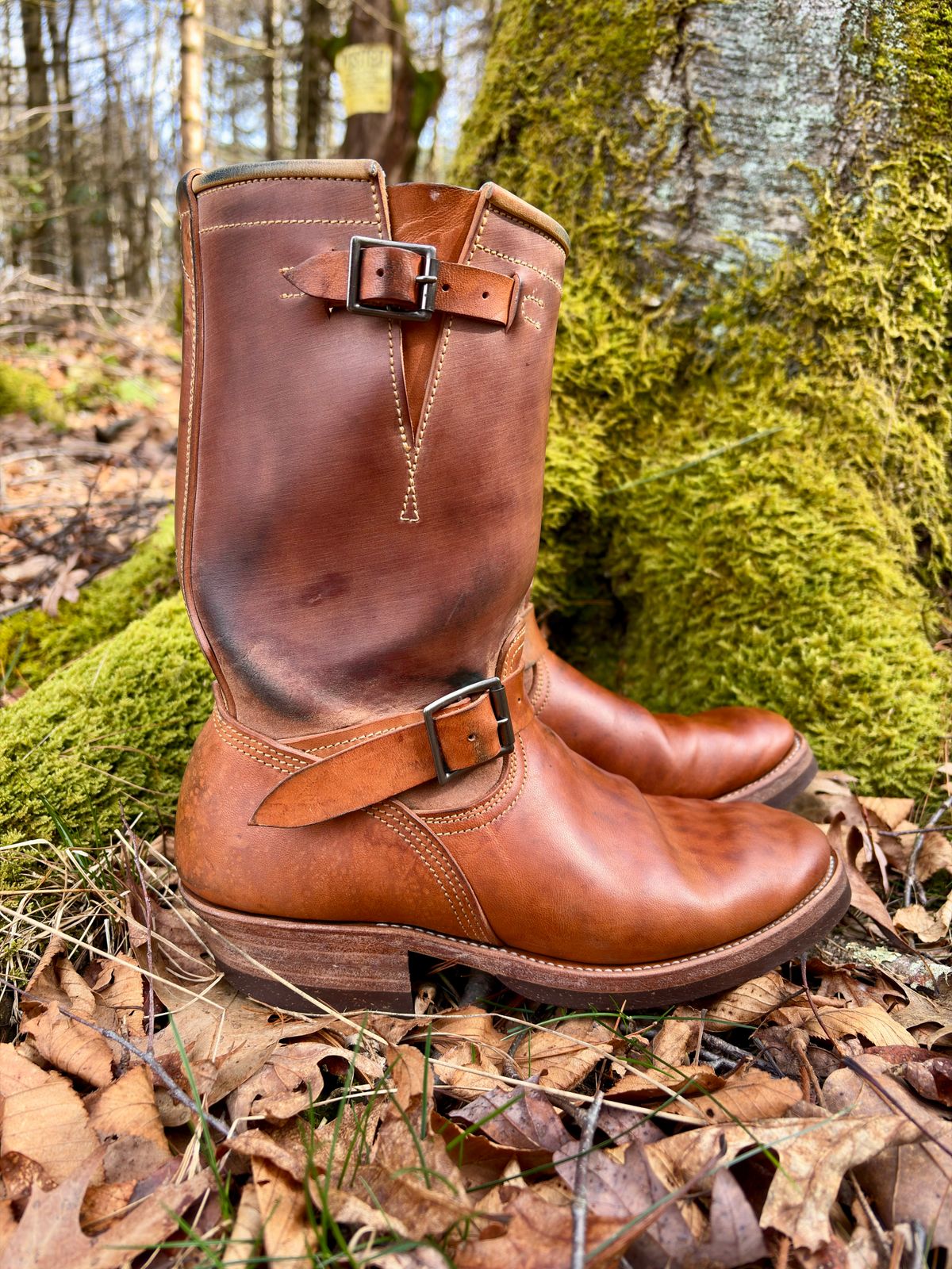 Photo by Bossa on April 3, 2026 of the Unsung House Desert Fever Dream in Maryam Natural Rovescio Sego Horsebutt.