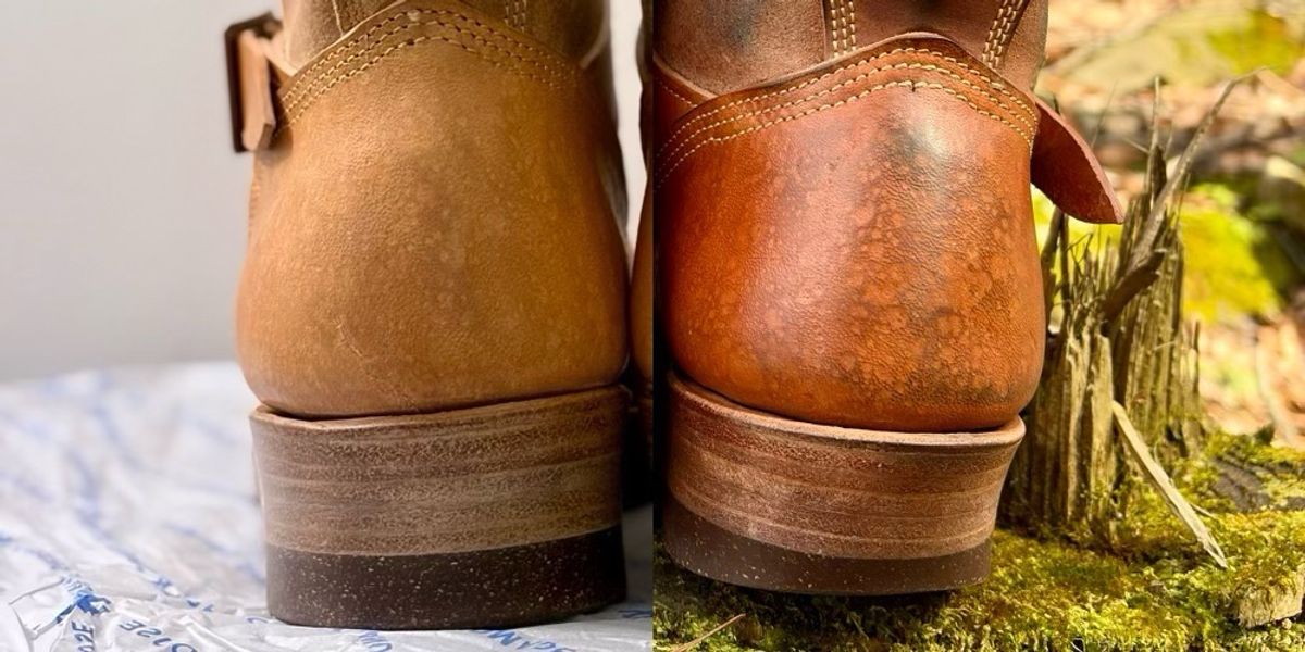 Photo by Bossa on April 4, 2026 of the Unsung House Desert Fever Dream in Maryam Natural Rovescio Sego Horsebutt.