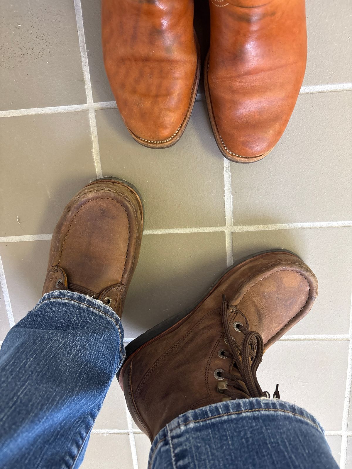 Photo by Bossa on March 4, 2026 of the Jim Green Moctoe in Bronco Brown.