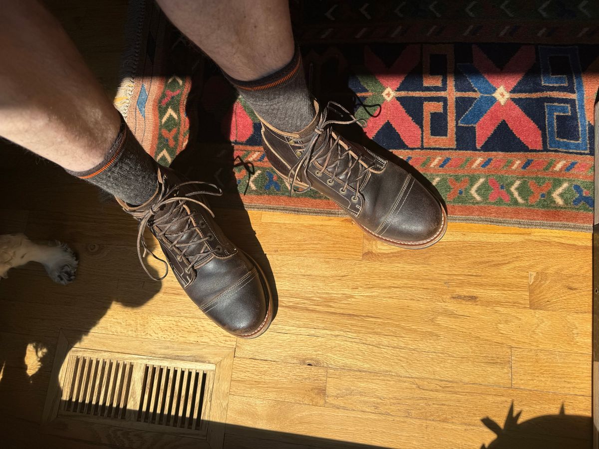 Photo by Mike on September 2, 2025 of the Truman Cap Toe Boot in Horween Java Waxed Flesh.