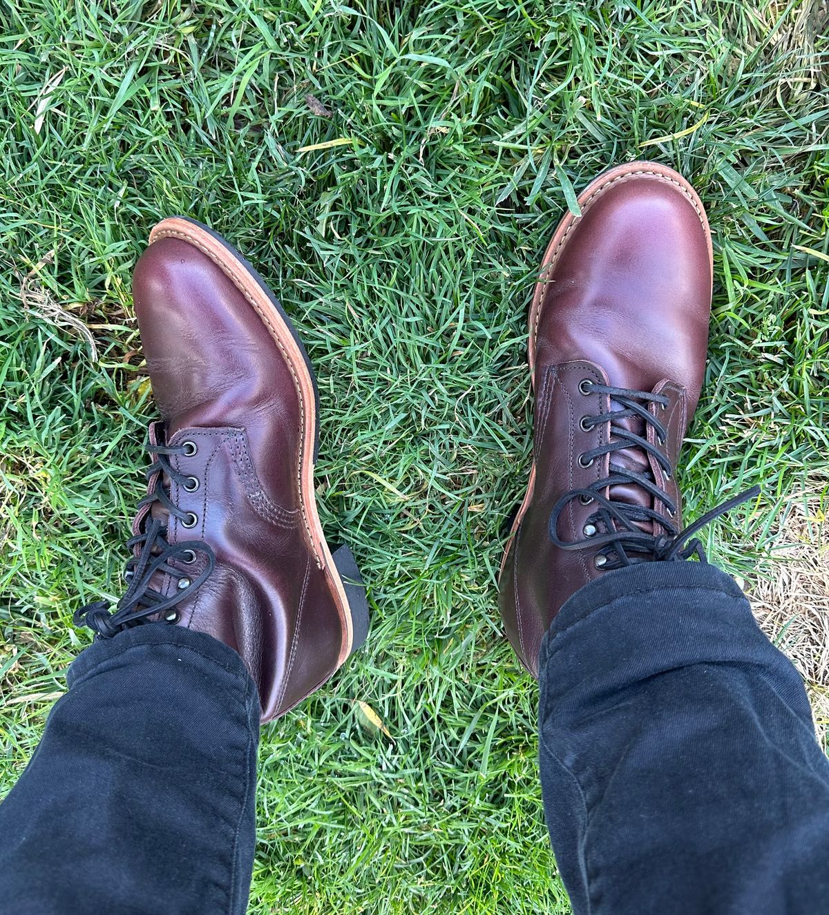 Photo by Mario357 on November 29, 2025 of the Red Wing Beckman in S.B. Foot Black Cherry Excalibur.