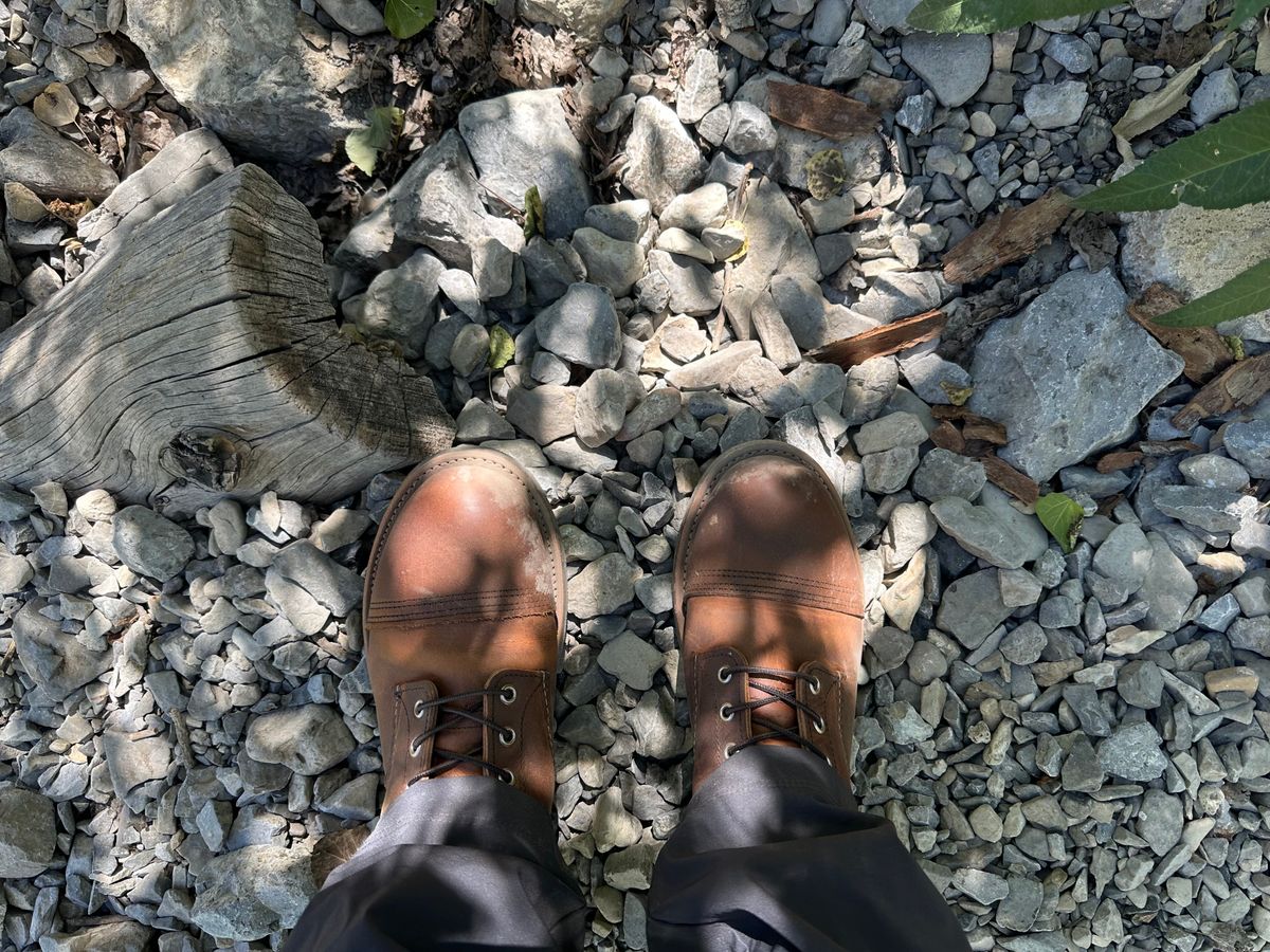Photo by Mario357 on August 17, 2025 of the Red Wing Iron Ranger in S.B. Foot Copper Rough and Tough.