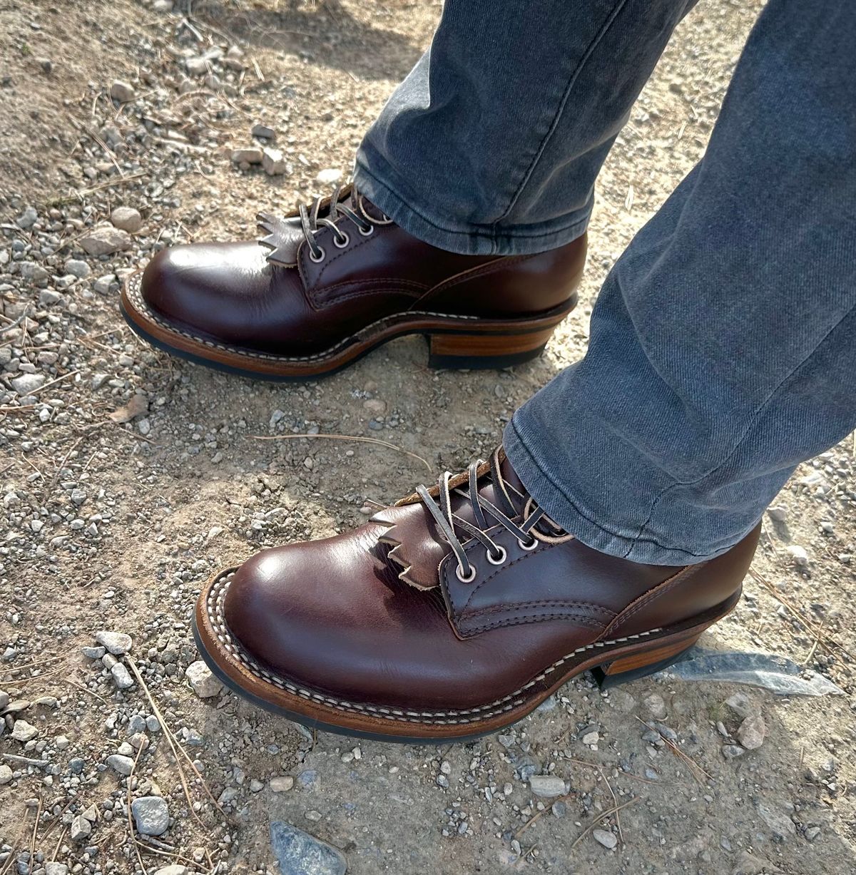 Photo by Mario357 on December 14, 2025 of the White's C350 Cruiser in Seidel Brown Double Shot.