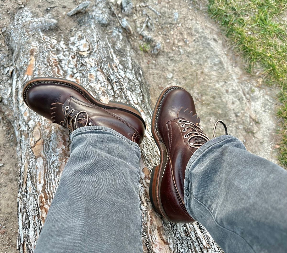 Photo by Mario357 on February 9, 2026 of the White's C350 Cruiser in Seidel Brown Double Shot.