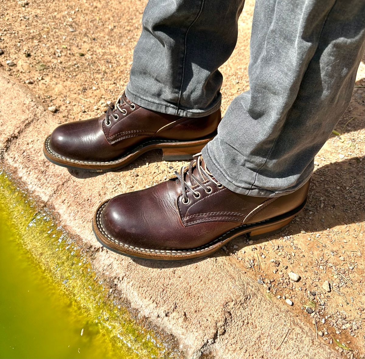 Photo by Mario357 on March 20, 2026 of the White's C350 Cruiser in Seidel Brown Double Shot.