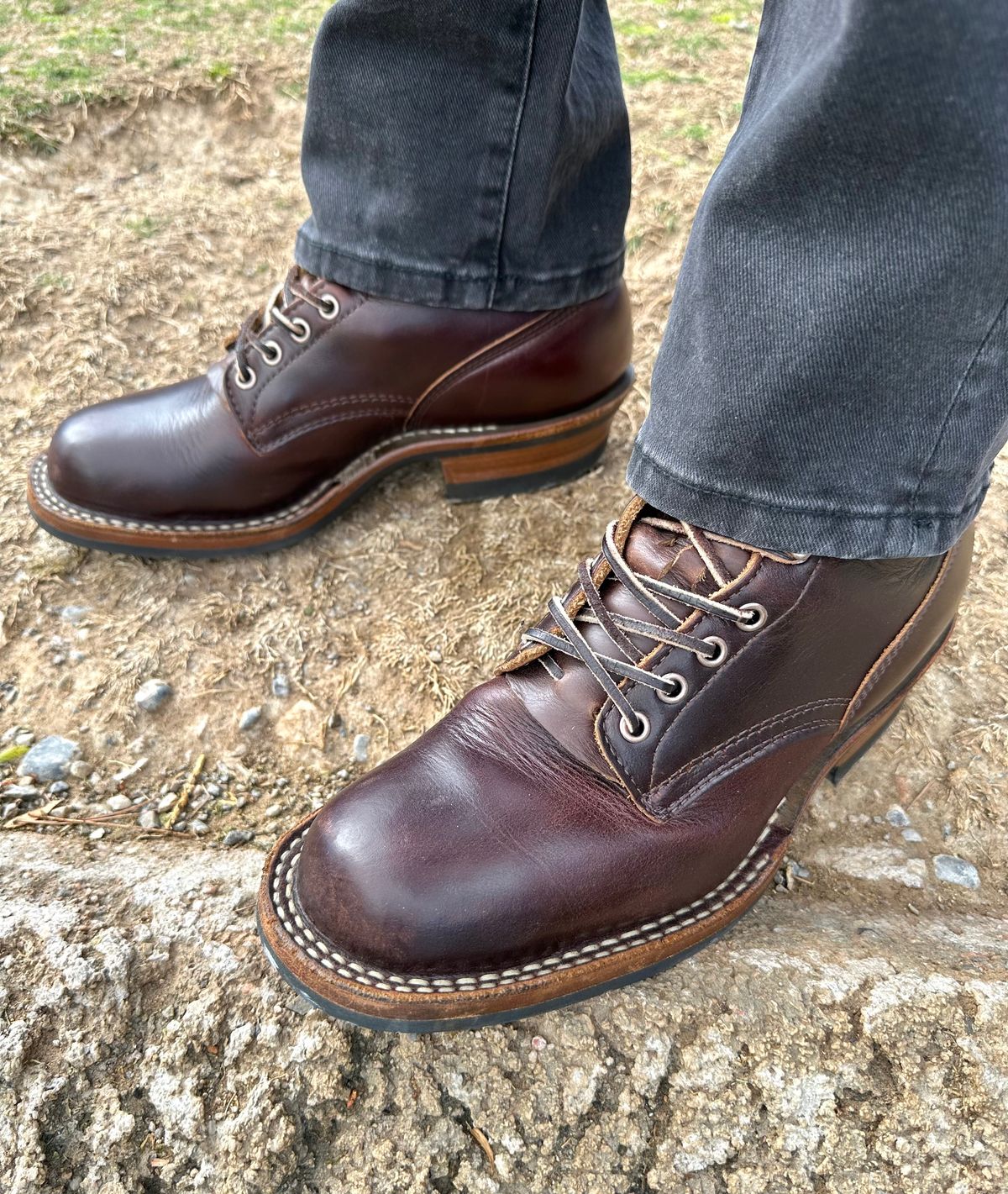 Photo by Mario357 on April 12, 2026 of the White's C350 Cruiser in Seidel Brown Double Shot.