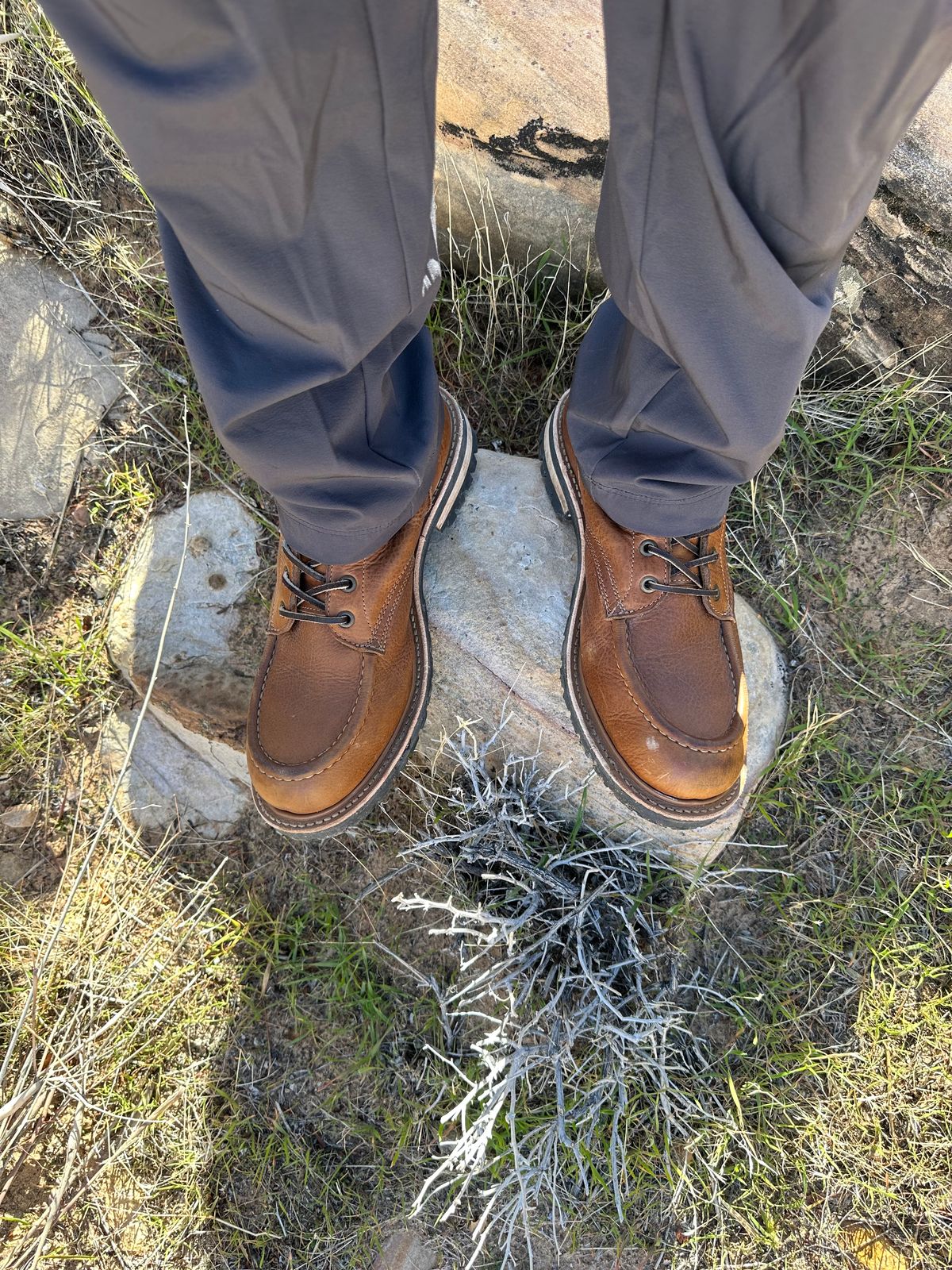 Photo by Mario357 on January 10, 2026 of the Truman Moc Toe in British Tan Grizzly.