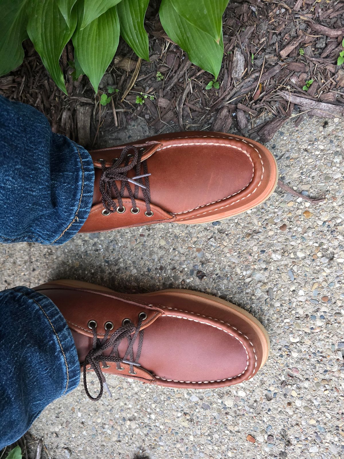 Photo by KingBama13 on May 7, 2025 of the Russell Moccasin Co. Russell Moccasin Co. / Chukka in Russell Moccasin Co. / Walnut Timberjack.