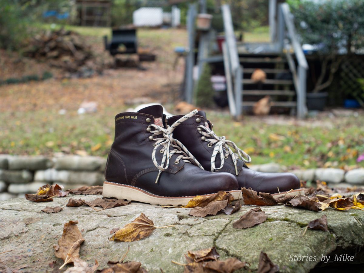 Photo by MTrump on November 2, 2024 of the Wolverine Pappy Van Winkle Batch IV in Seidel Lux Leather.