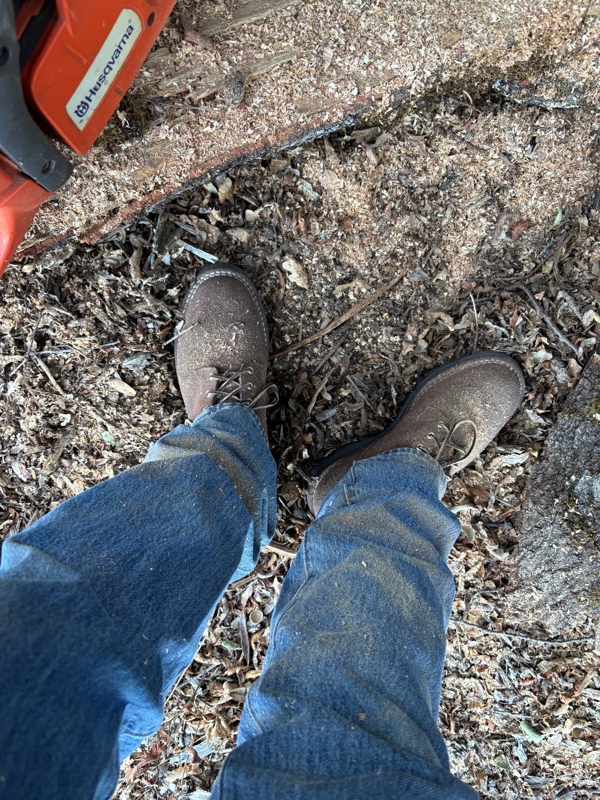 Photo by STILTS_XNGH on October 22, 2025 of the Nicks Ridgeline Hiking Boot in Nicks/1964 Mahogany.