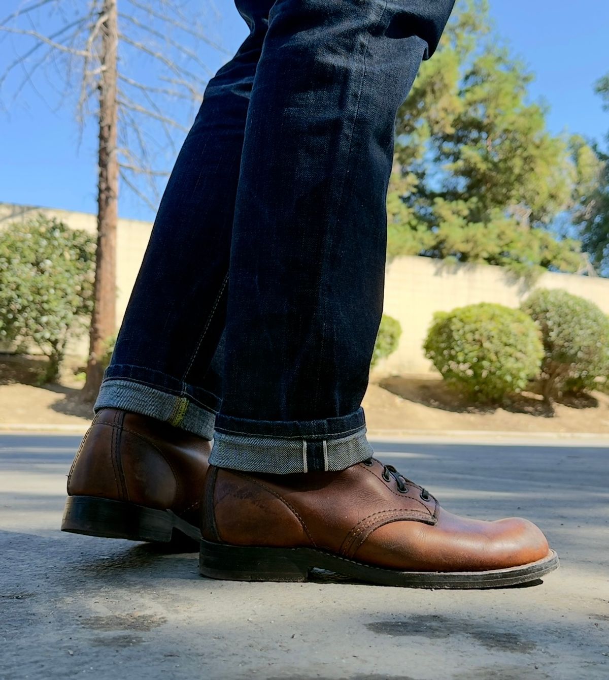 Photo by SundayDuffer on July 8, 2025 of the Red Wing Beckman 9016 in Brown Bison.