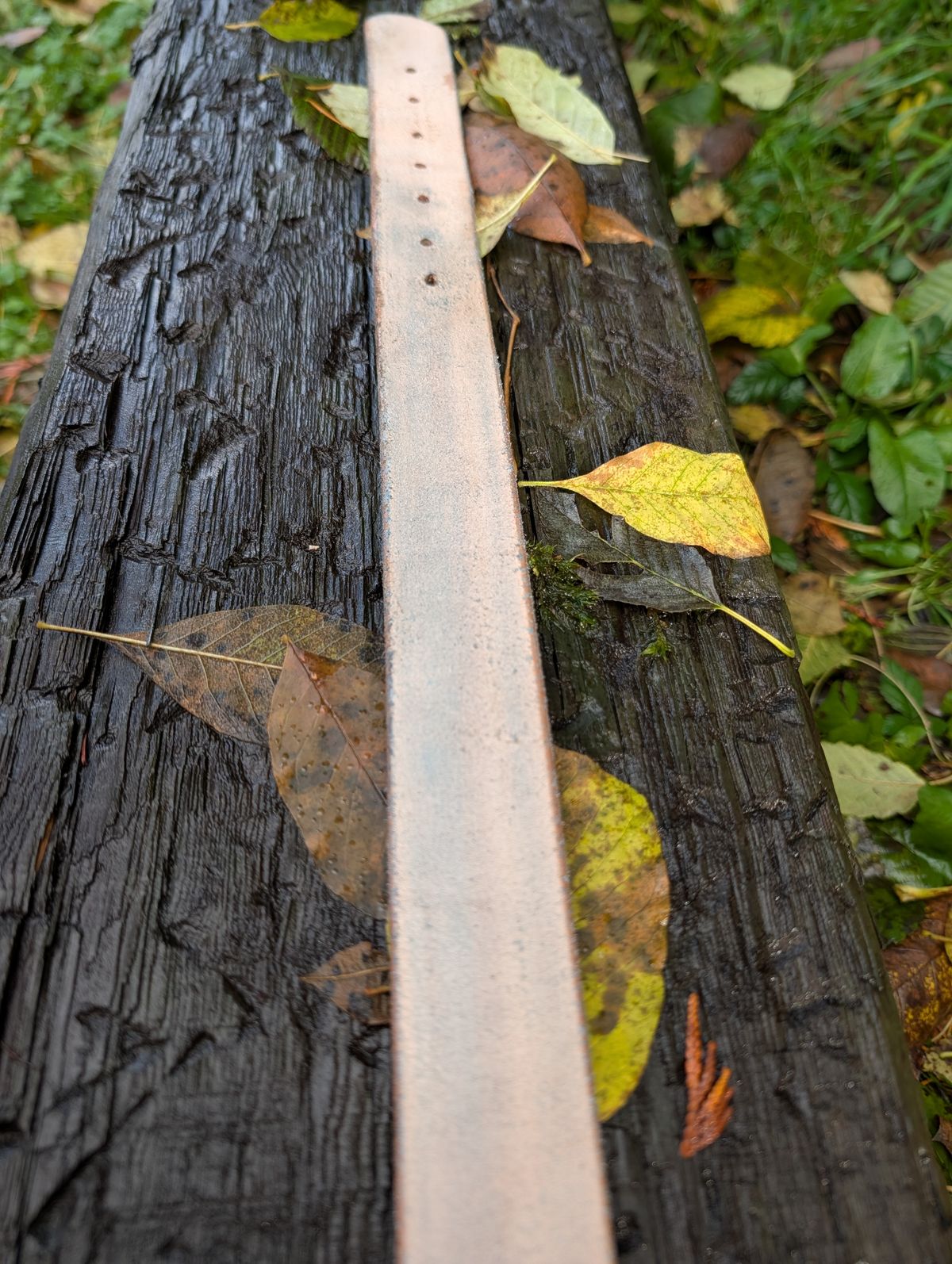 Photo by a_wolfgang on November 1, 2025 of the Nicks Belt in Nicks / Natural Heavy Duty.